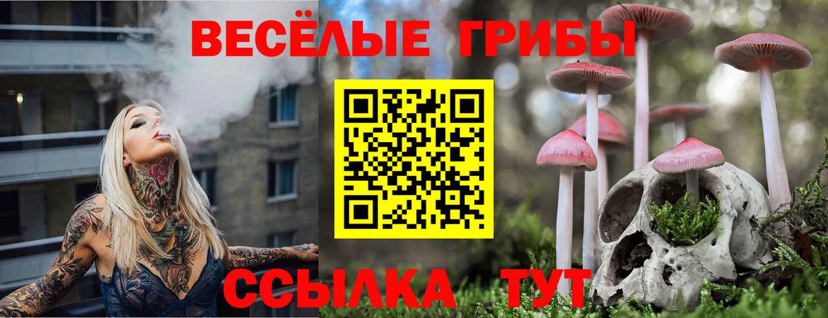 Ижевск  сколько стоит  Вход с VPN  Псилоцибиновые грибы мухоморы 