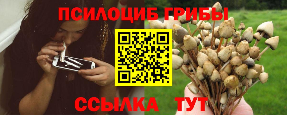Псилоцибиновые грибы Magic Shrooms Ижевск